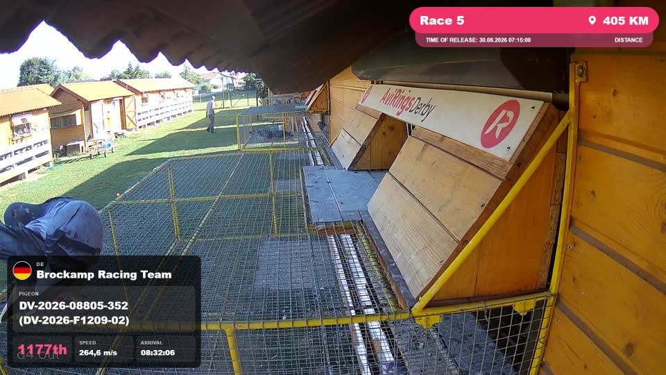 Pigeon Arrival Image For Race Race 5