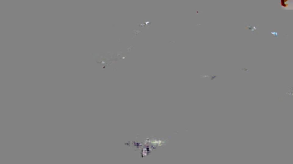 Pigeon Arrival Image For Race Race 2