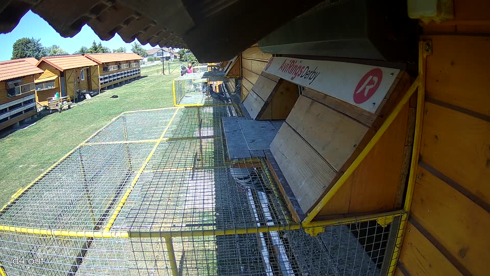 Pigeon Arrival Image For Race Race 3