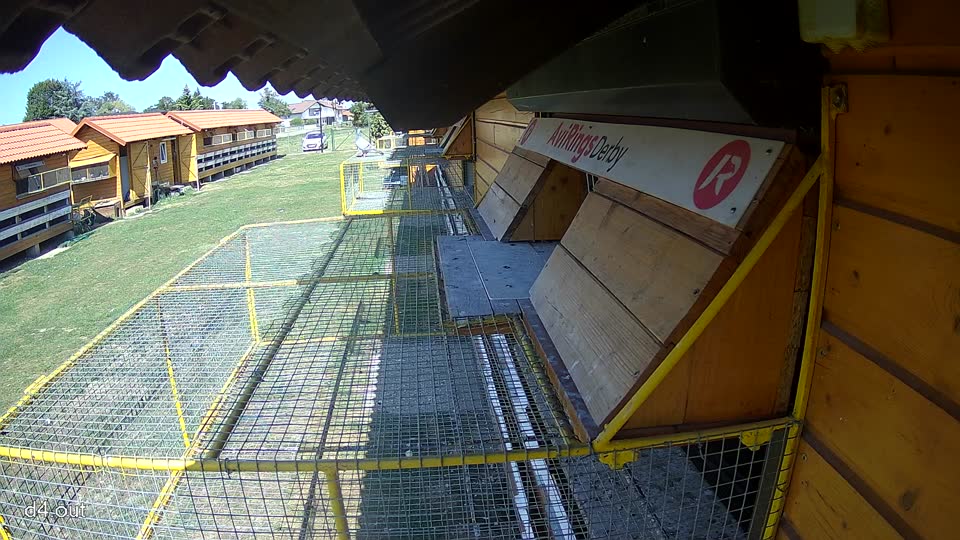 Pigeon Arrival Image For Race Race 5