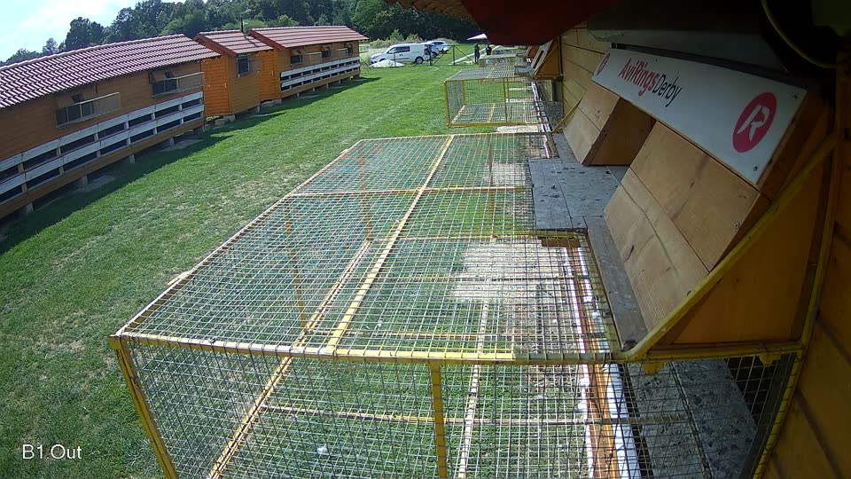 Pigeon Arrival Image For Race Race 6