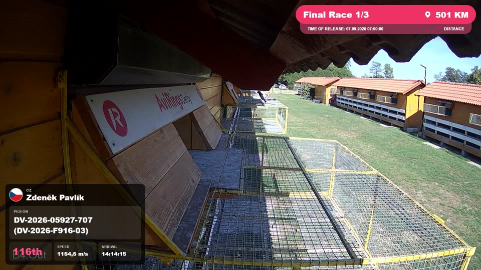 Pigeon Arrival Image For Race Final Race 1/3