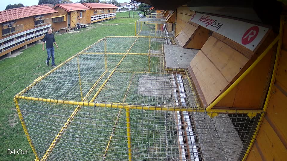 Pigeon Arrival Image For Race Final race 3