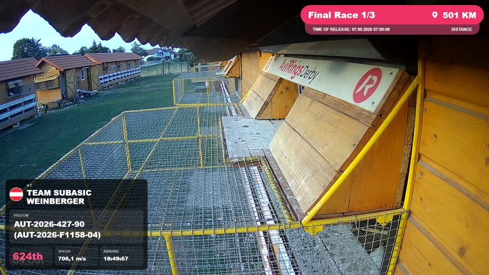 Pigeon Arrival Image For Race Final Race 1/3