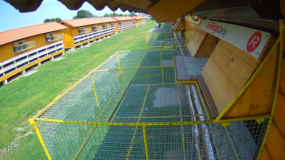 Pigeon Arrival Image For Race Race 3