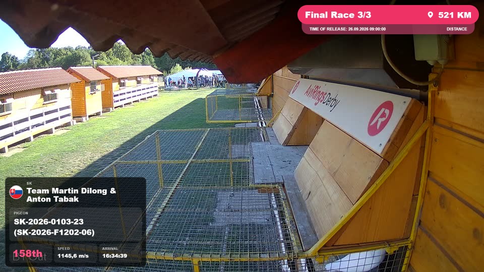 Pigeon Arrival Image For Race Final Race 3/3