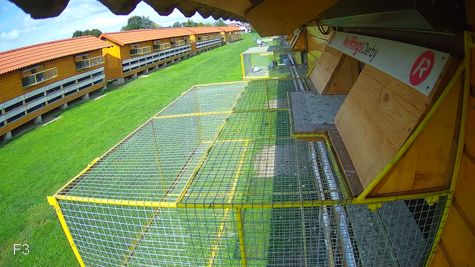 Pigeon Arrival Image For Race Final race 2