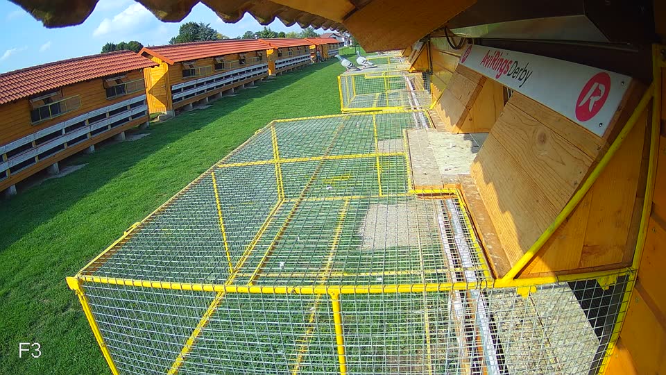 Pigeon Arrival Image For Race Final race 1