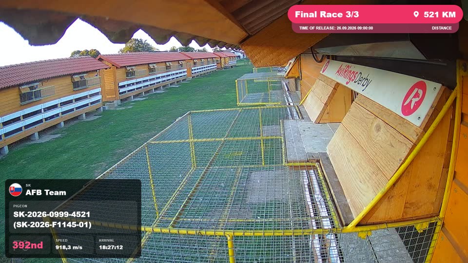 Pigeon Arrival Image For Race Final Race 3/3