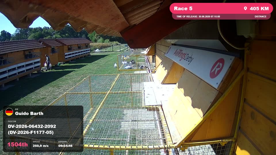 Pigeon Arrival Image For Race Race 5