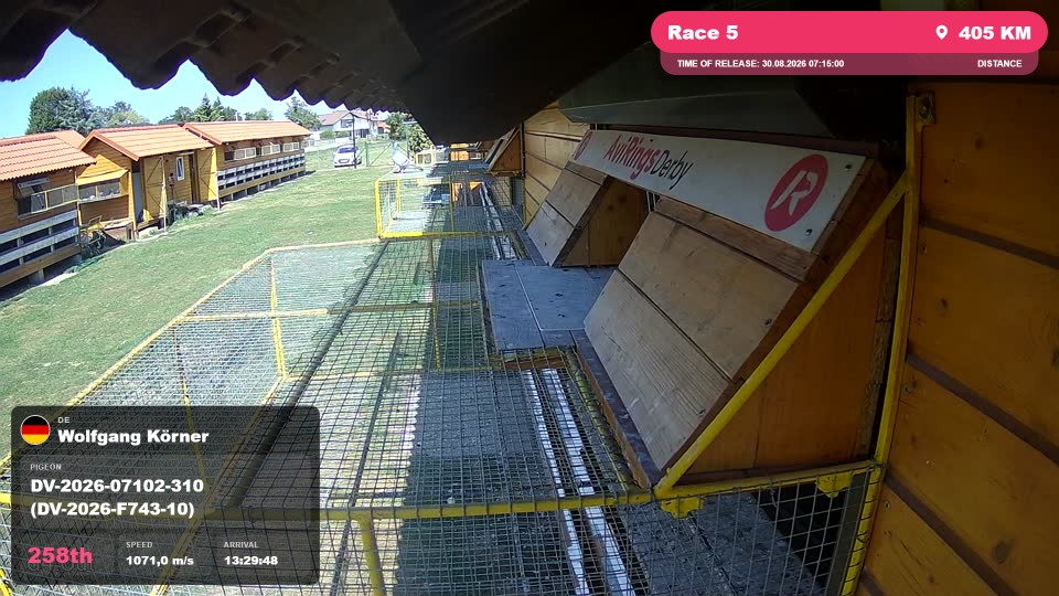 Pigeon Arrival Image For Race Race 5