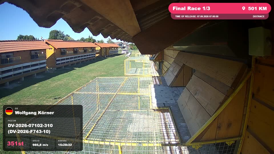 Pigeon Arrival Image For Race Final Race 1/3