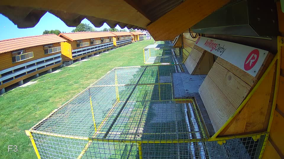 Pigeon Arrival Image For Race Race 5