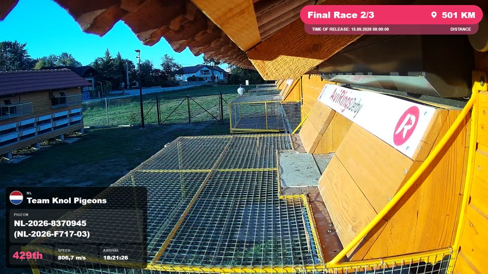Pigeon Arrival Image For Race Final Race 2/3