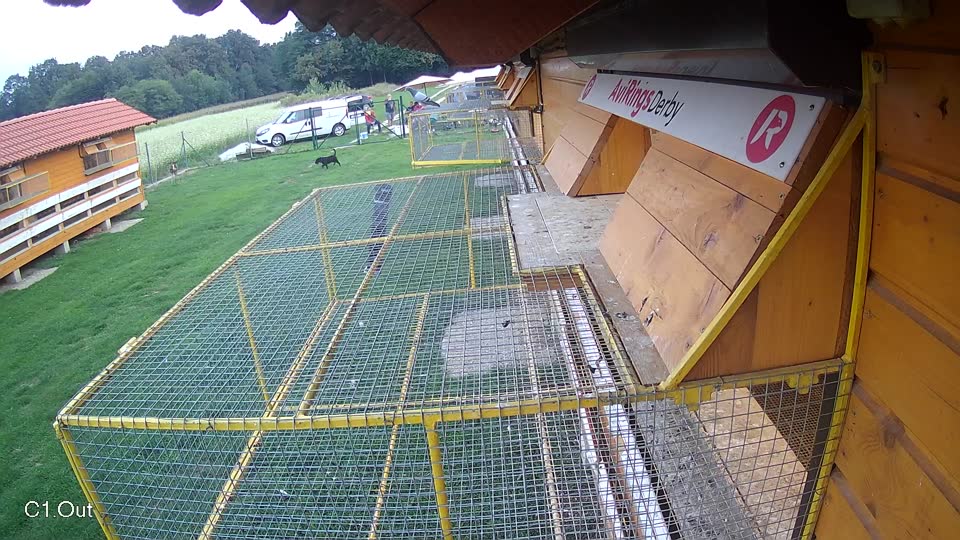 Pigeon Arrival Image For Race Final race 1