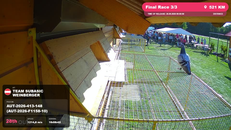 Pigeon Arrival Image For Race Final Race 3/3