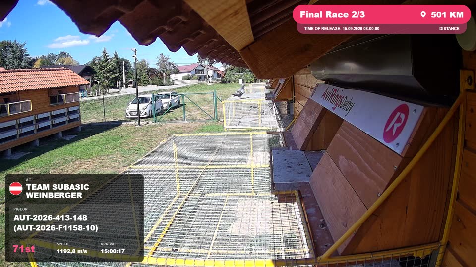 Pigeon Arrival Image For Race Final Race 2/3