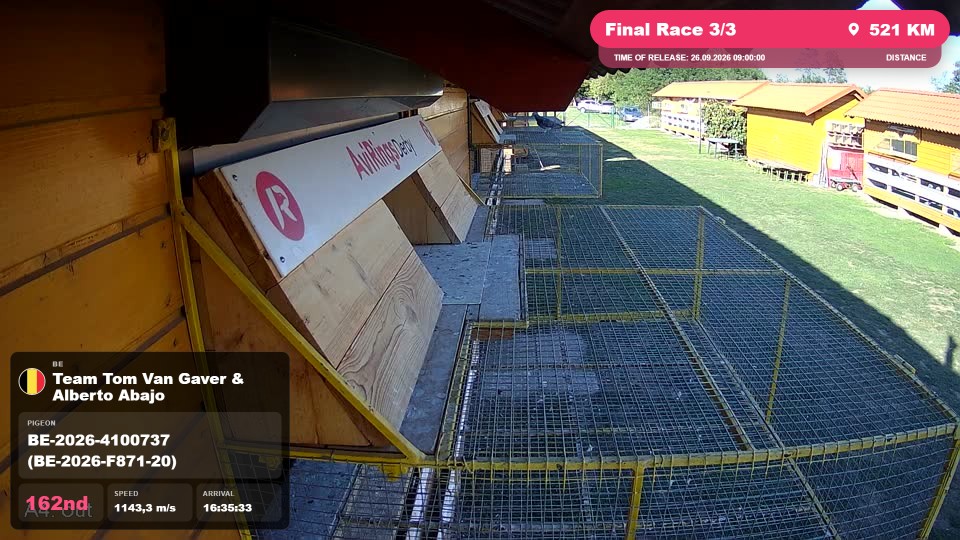 Pigeon Arrival Image For Race Final Race 3/3