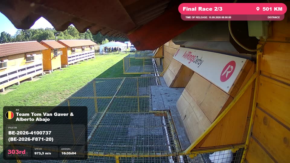 Pigeon Arrival Image For Race Final Race 2/3