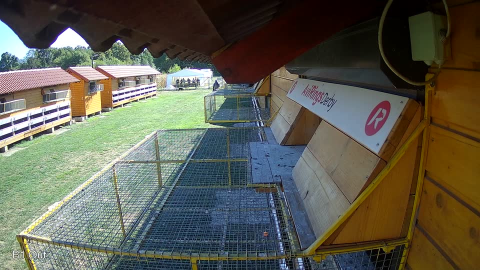 Pigeon Arrival Image For Race Final Race 1/3