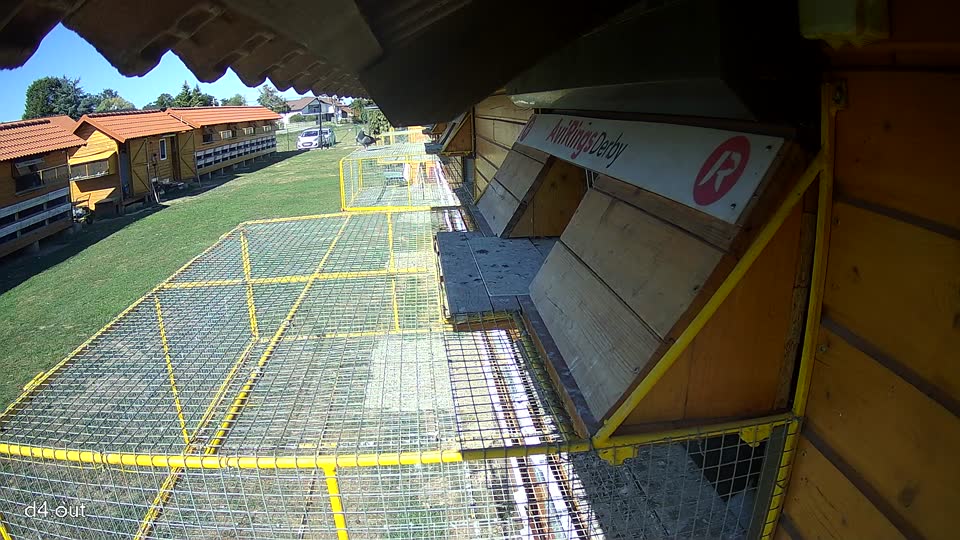 Pigeon Arrival Image For Race Final Race 1/3