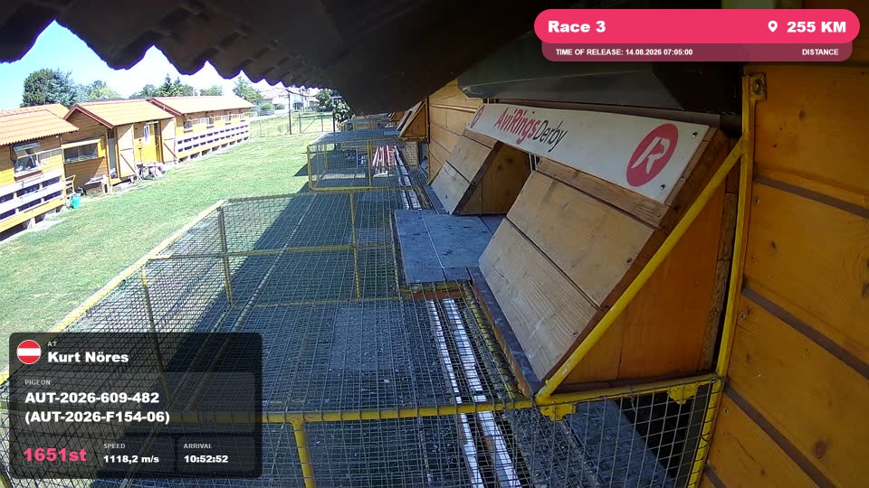 Pigeon Arrival Image For Race Race 3