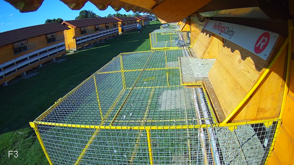 Pigeon Arrival Image For Race Race 6