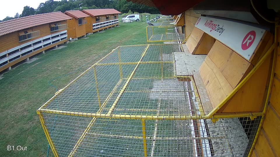 Pigeon Arrival Image For Race Race 3