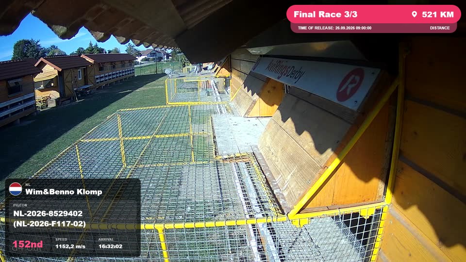 Pigeon Arrival Image For Race Final Race 3/3