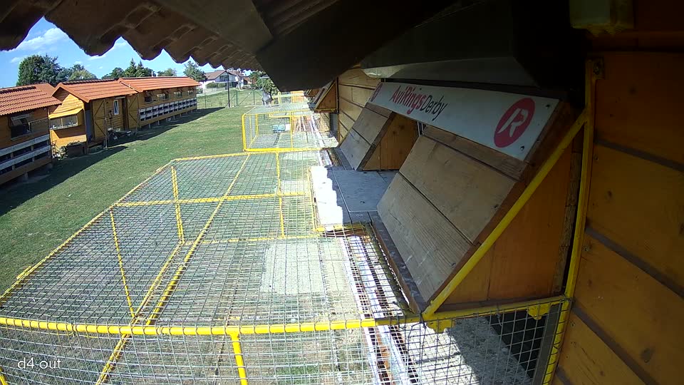 Pigeon Arrival Image For Race Race 5