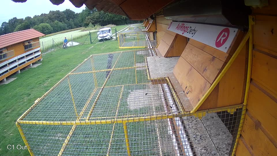 Pigeon Arrival Image For Race Race 6