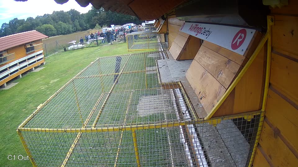 Pigeon Arrival Image For Race Final race 3