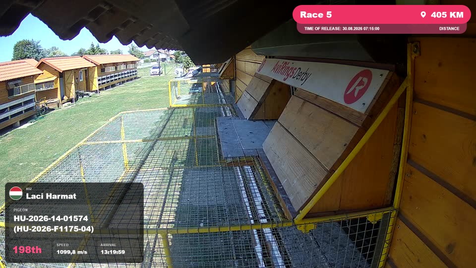 Pigeon Arrival Image For Race Race 5