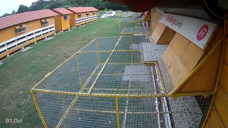 Pigeon Arrival Image For Race Race 4
