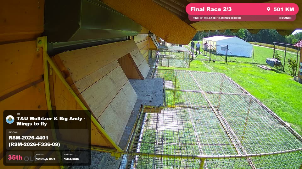 Pigeon Arrival Image For Race Final Race 2/3