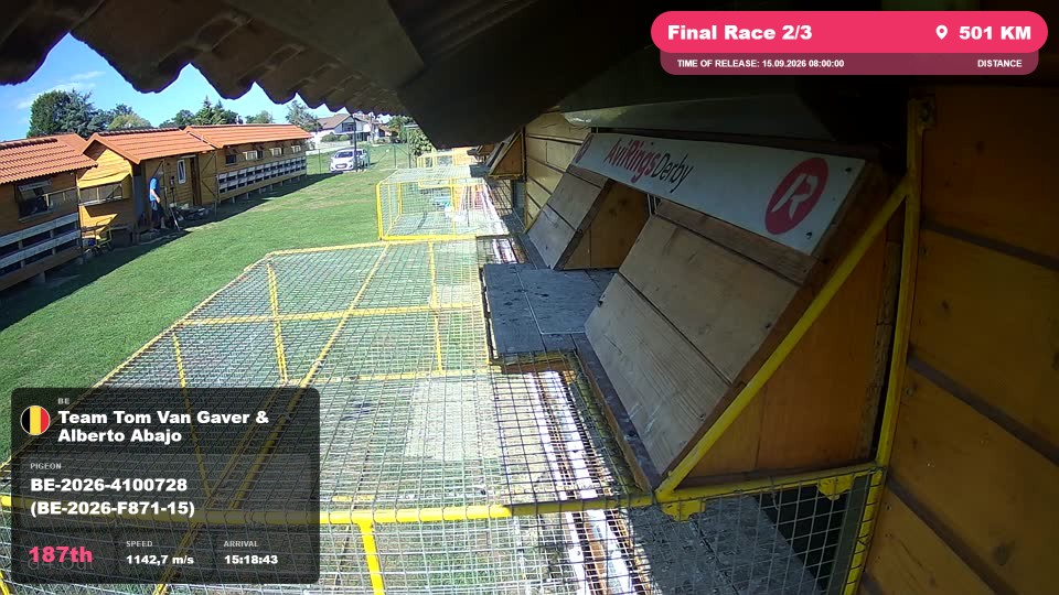 Pigeon Arrival Image For Race Final Race 2/3