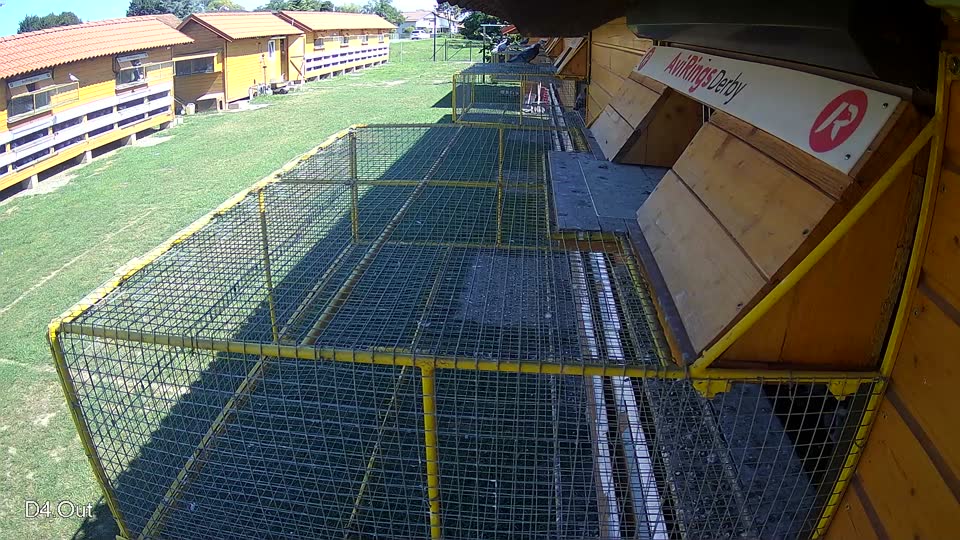Pigeon Arrival Image For Race Race 2