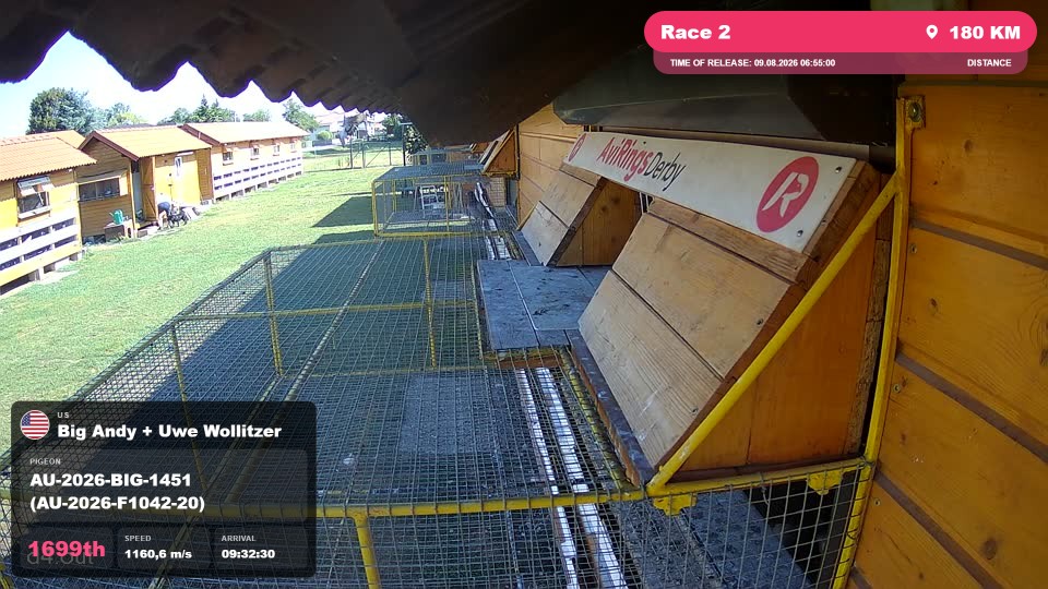 Pigeon Arrival Image For Race Race 2