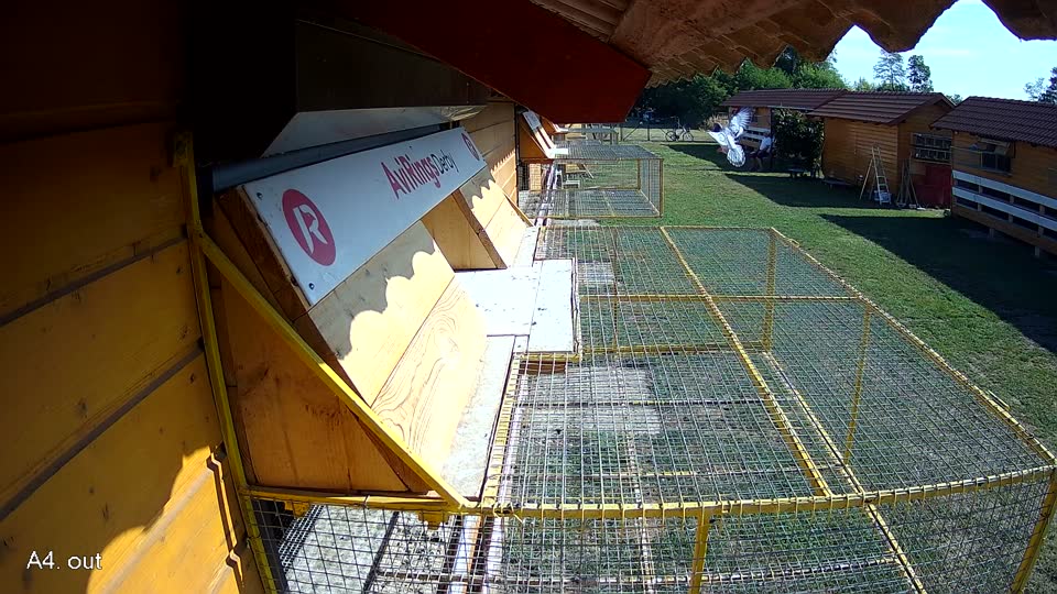 Pigeon Arrival Image For Race Race 2