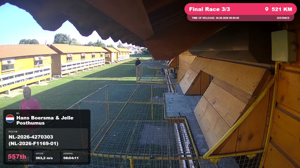 Pigeon Arrival Image For Race Final Race 3/3