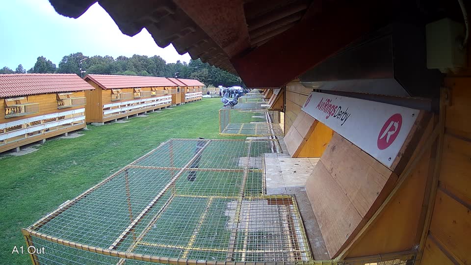Pigeon Arrival Image For Race Final race 3
