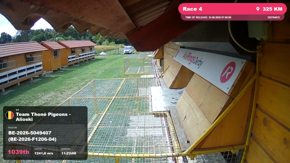 Pigeon Arrival Image For Race Race 4