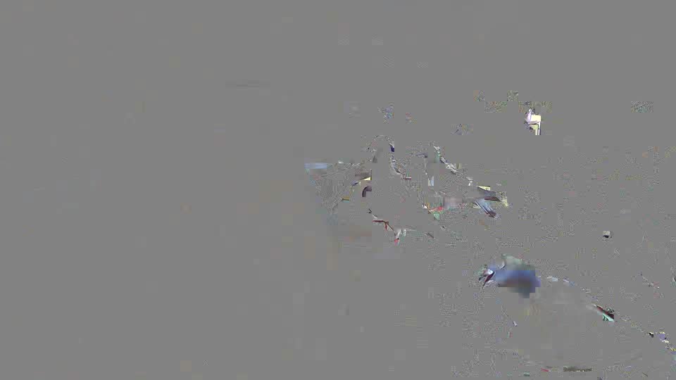 Pigeon Arrival Image For Race Race 2