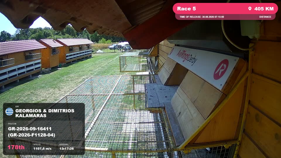 Pigeon Arrival Image For Race Race 5