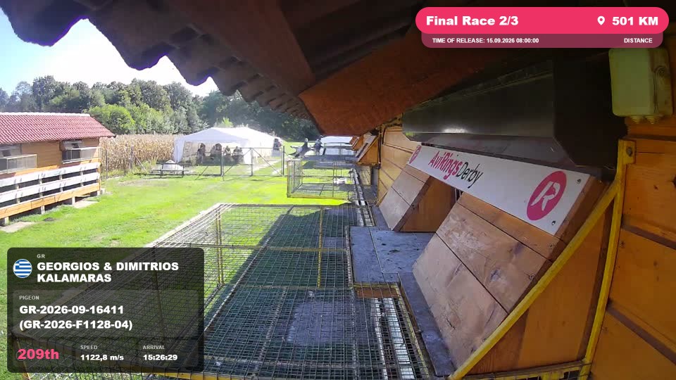 Pigeon Arrival Image For Race Final Race 2/3