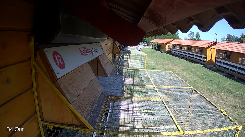 Pigeon Arrival Image For Race Race 5