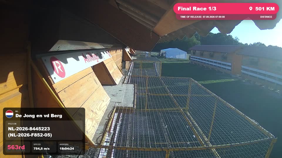 Pigeon Arrival Image For Race Final Race 1/3