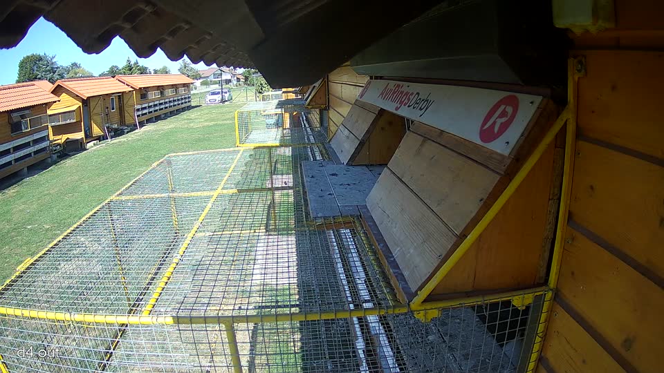 Pigeon Arrival Image For Race Final Race 1/3