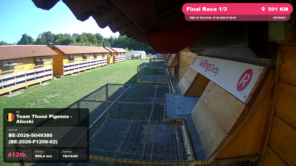 Pigeon Arrival Image For Race Final Race 1/3