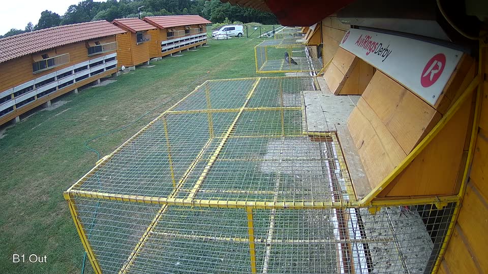 Pigeon Arrival Image For Race Race 3